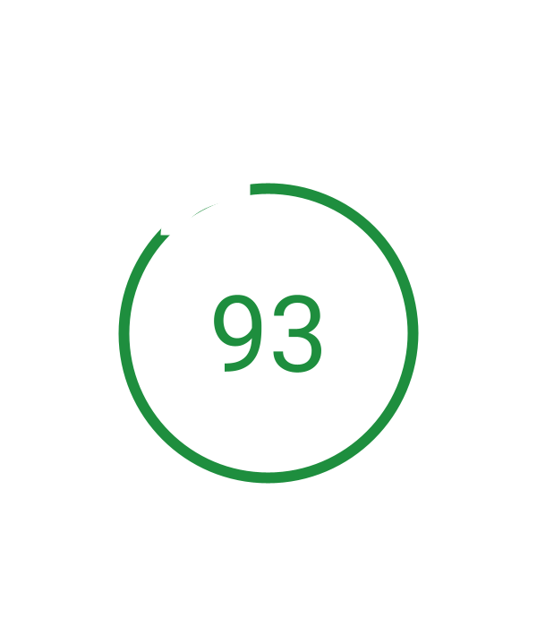 Performance score 100